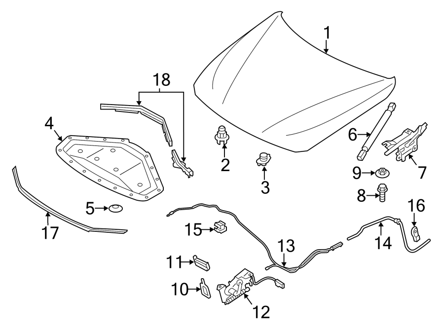 HOOD & COMPONENTS.