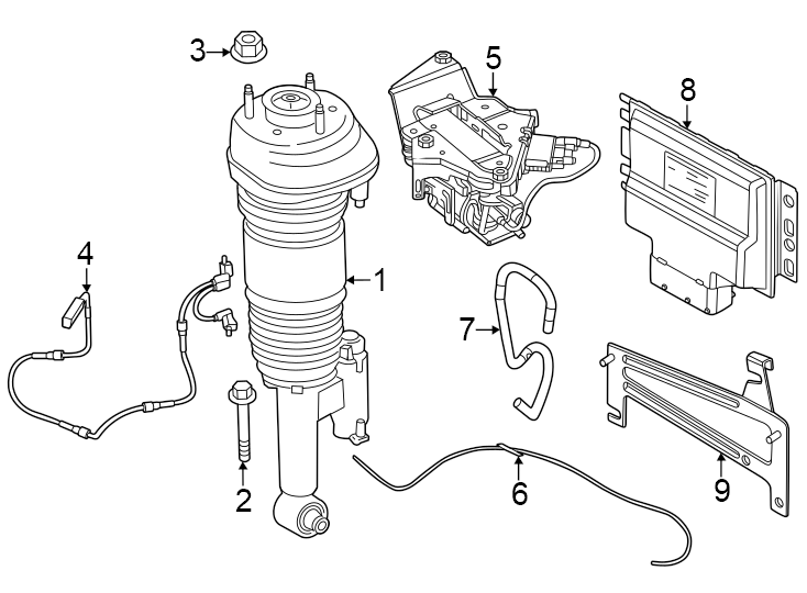 3Air suspension. Rwd. W/M sport. W/O M sport.https://images.simplepart.com/images/parts/motor/fullsize/1947645.png