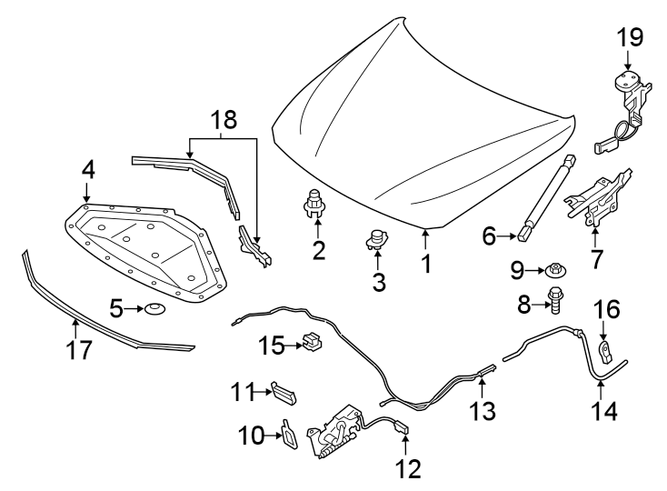 5Hood & components.https://images.simplepart.com/images/parts/motor/fullsize/1948150.png