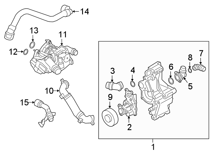 15WATER PUMP.https://images.simplepart.com/images/parts/motor/fullsize/1952088.png