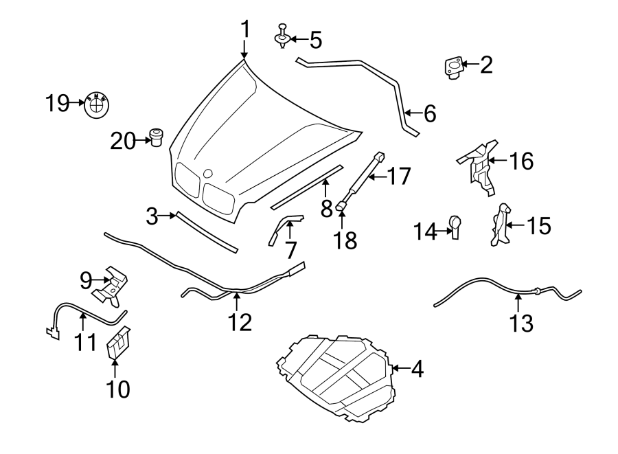 2HOOD & GRILLE. HOOD & COMPONENTS.https://images.simplepart.com/images/parts/motor/fullsize/1956130.png