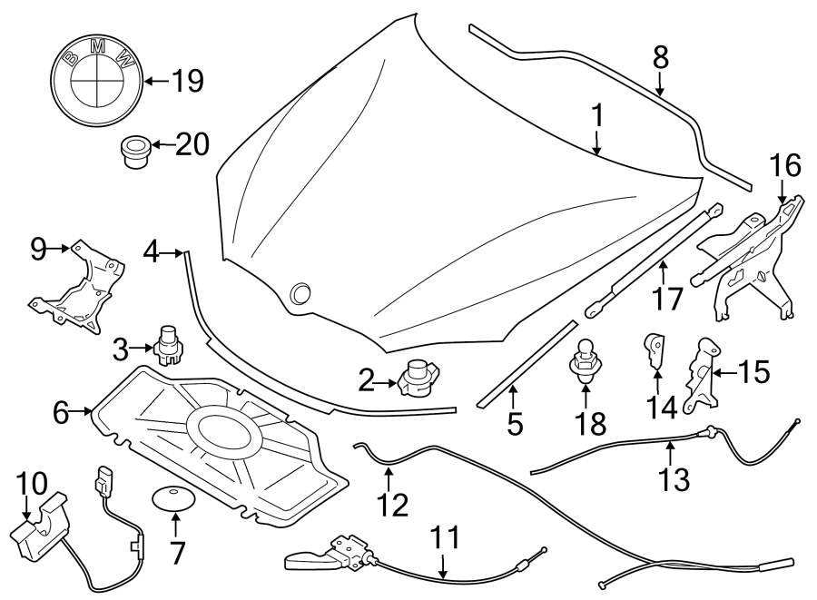 2HOOD & COMPONENTS.https://images.simplepart.com/images/parts/motor/fullsize/1957215.png