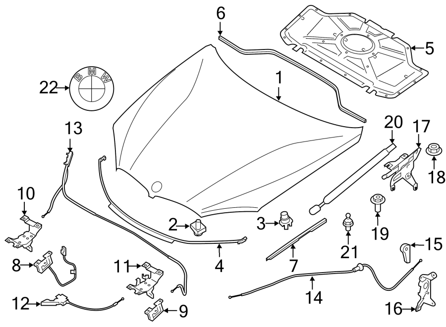 2HOOD & COMPONENTS.https://images.simplepart.com/images/parts/motor/fullsize/1961255.png