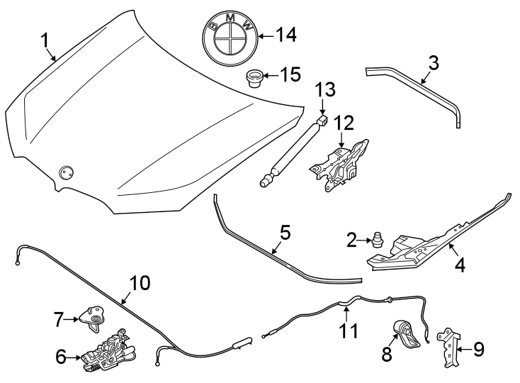 14Hood & components.https://images.simplepart.com/images/parts/motor/fullsize/1962370.png