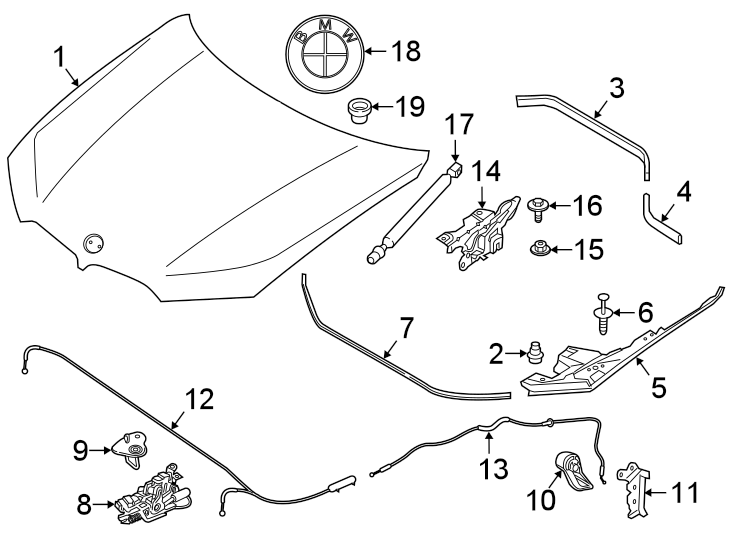 18HOOD & COMPONENTS.https://images.simplepart.com/images/parts/motor/fullsize/1967195.png