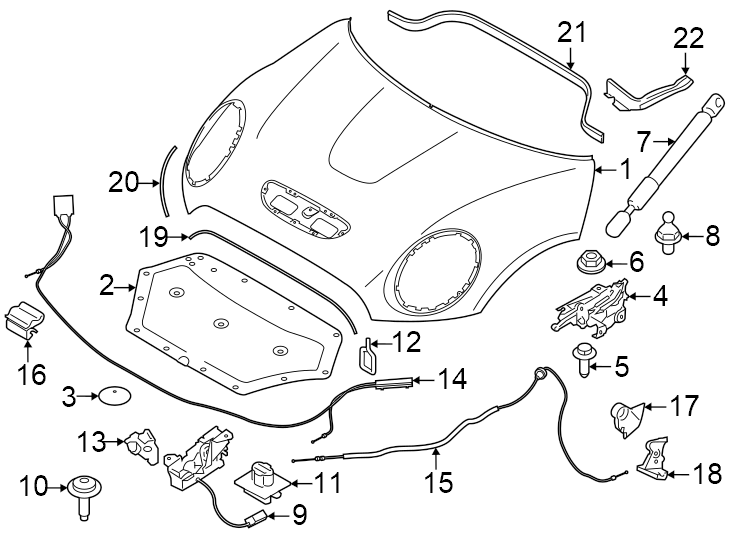 8Hood & components.https://images.simplepart.com/images/parts/motor/fullsize/1974100.png