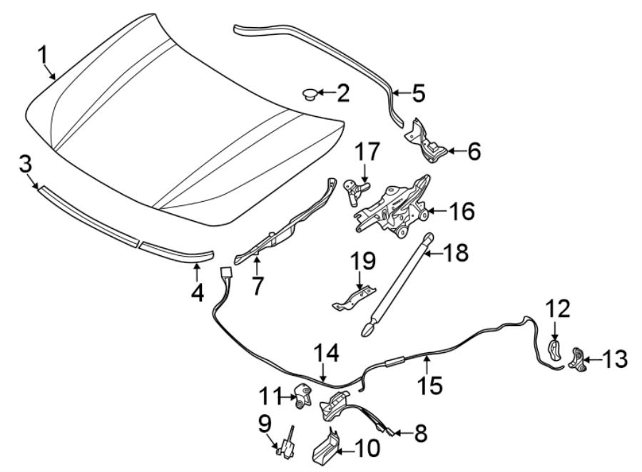 12HOOD & COMPONENTS.https://images.simplepart.com/images/parts/motor/fullsize/1977100.png