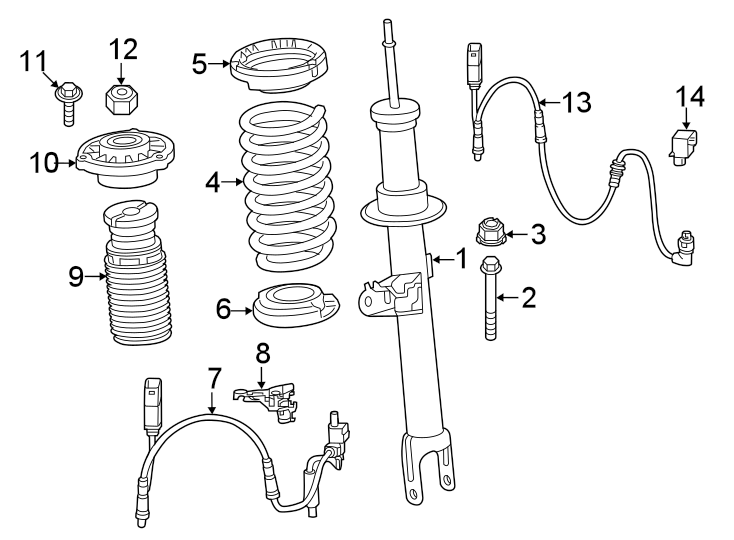 Front suspension. Struts & components.