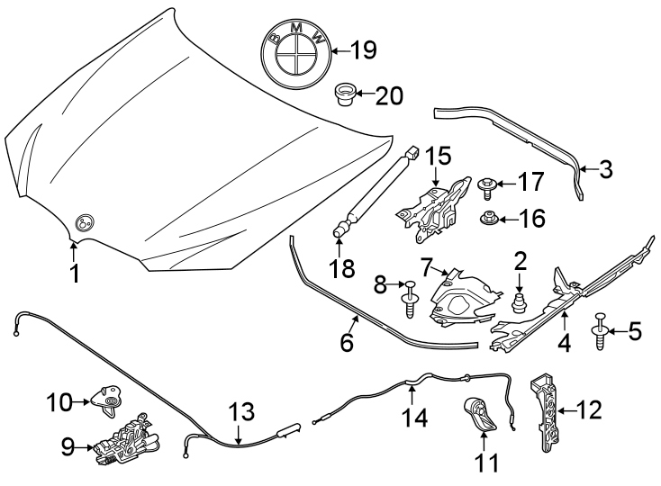 4HOOD & COMPONENTS.https://images.simplepart.com/images/parts/motor/fullsize/1984135.png