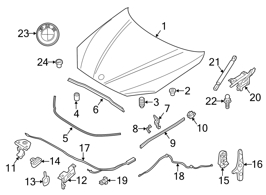 8HOOD & COMPONENTS.https://images.simplepart.com/images/parts/motor/fullsize/1990145.png