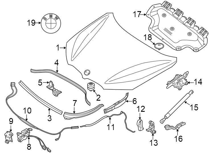 12Hood & components.https://images.simplepart.com/images/parts/motor/fullsize/1991196.png