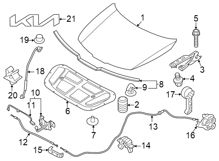 4Hood & components.https://images.simplepart.com/images/parts/motor/fullsize/2305200.png