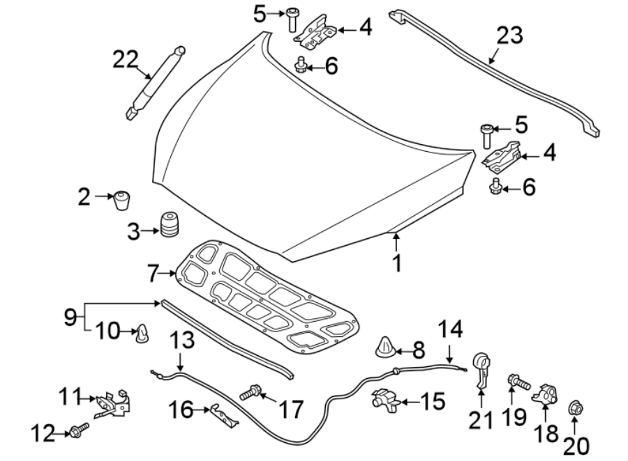 HOOD & COMPONENTS.