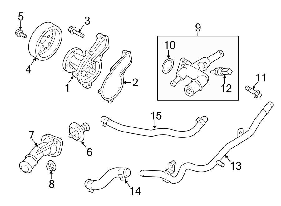 Diagram WATER PUMP. for your 2022 Kia Carnival   