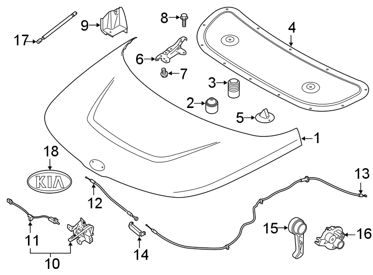 16EXTERIOR TRIM. HOOD & COMPONENTS.https://images.simplepart.com/images/parts/motor/fullsize/2458130.png