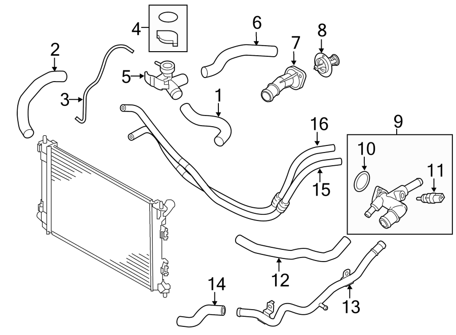 Diagram HOSES & LINES. for your 2022 Kia Carnival   