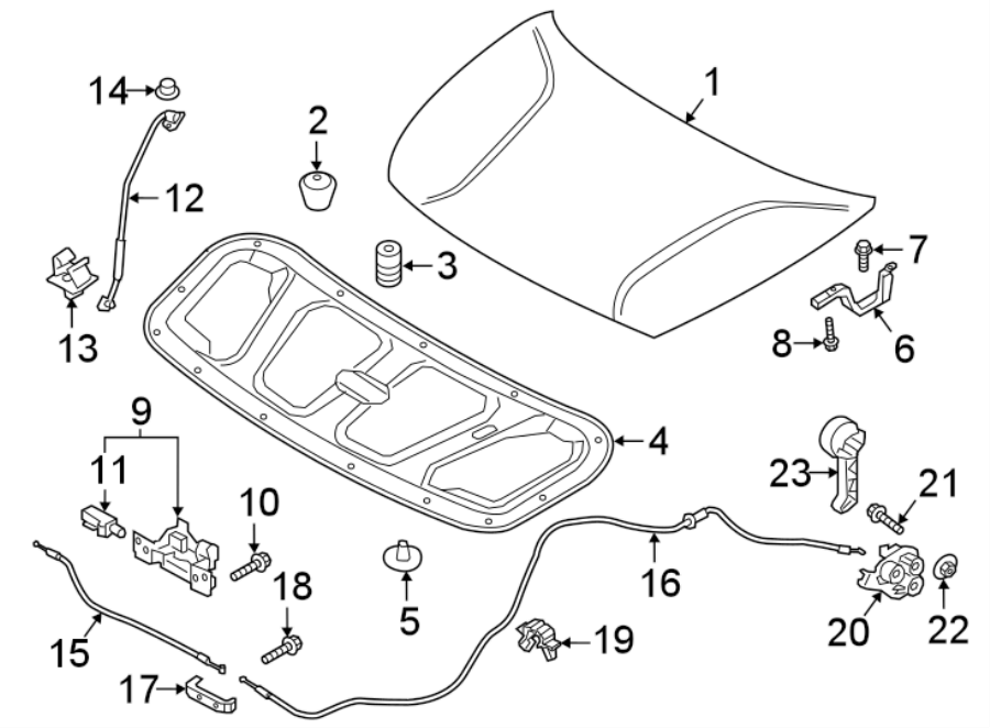 13HOOD & COMPONENTS.https://images.simplepart.com/images/parts/motor/fullsize/2490090.png