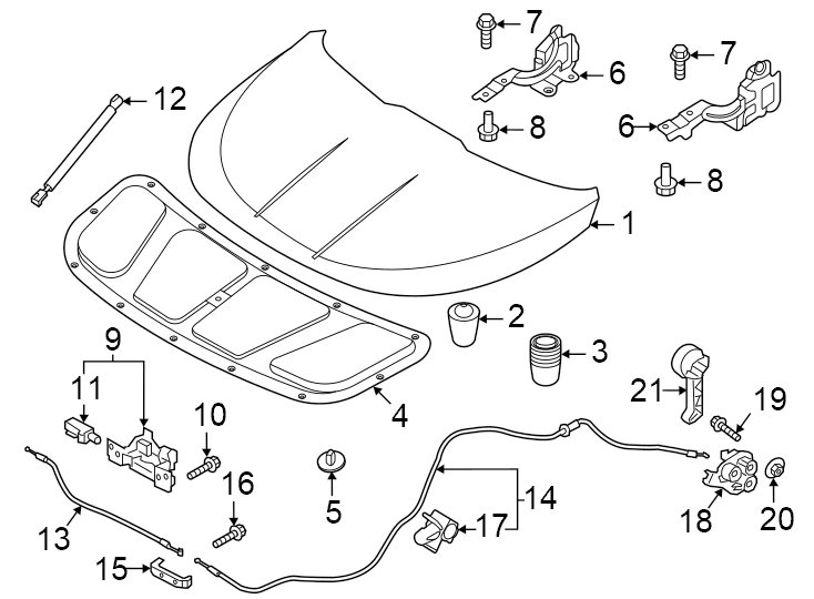 15Hood & components.https://images.simplepart.com/images/parts/motor/fullsize/2491180.png