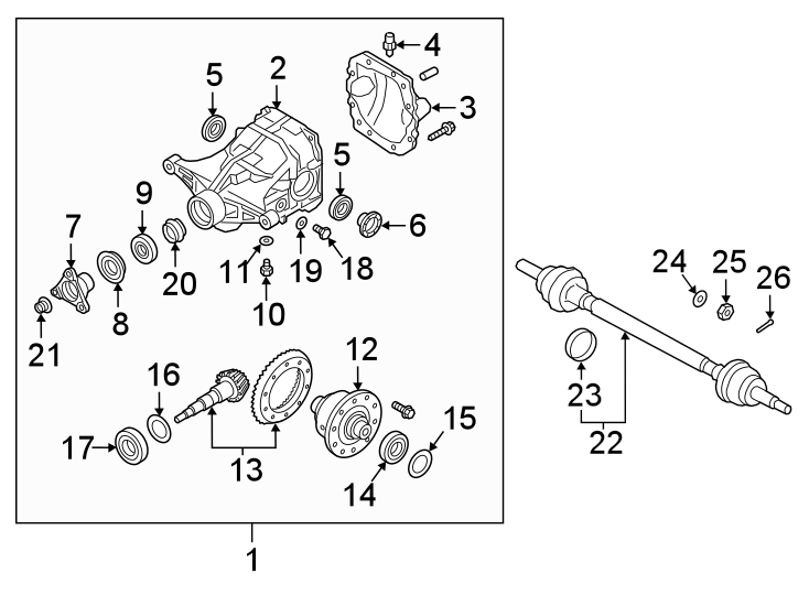 19REAR SUSPENSION. AXLE & DIFFERENTIAL.https://images.simplepart.com/images/parts/motor/fullsize/2495570.png