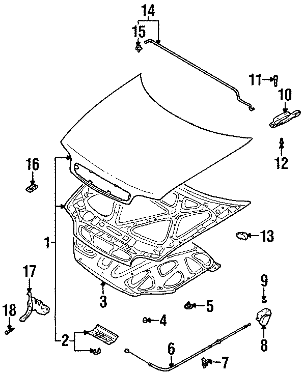 5HOOD & GRILLE. HOOD & COMPONENTS.https://images.simplepart.com/images/parts/motor/fullsize/2602075.png