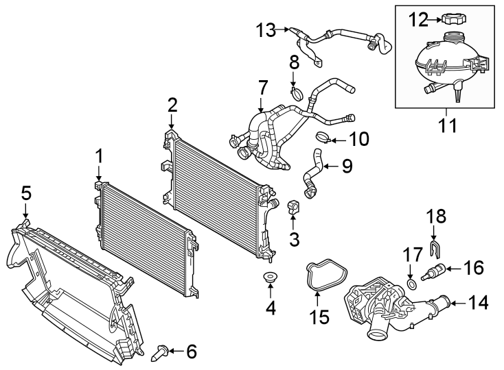 RADIATOR & COMPONENTS.