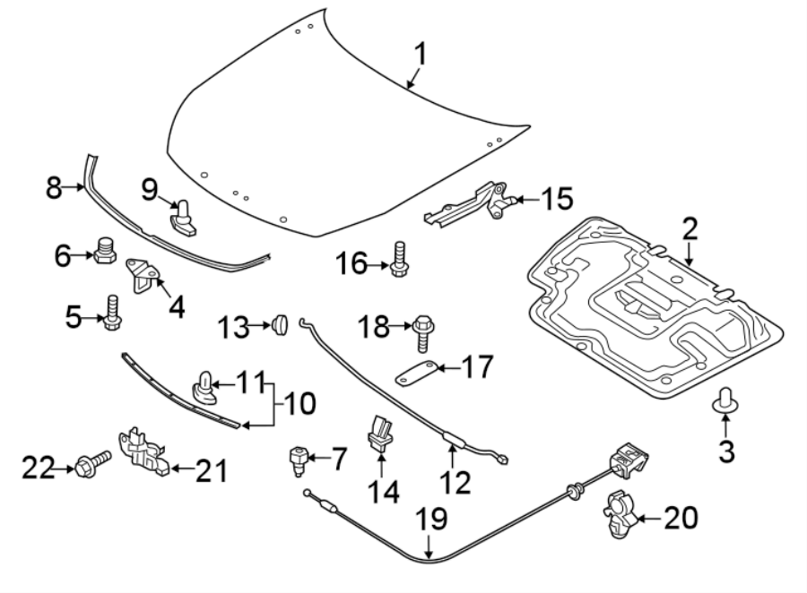 HOOD & COMPONENTS.