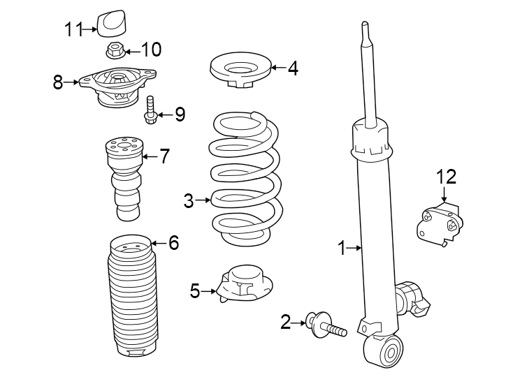 Rear suspension. Shocks & components.