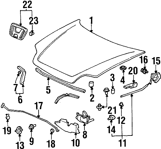 9EXTERIOR TRIM. HOOD & COMPONENTS.https://images.simplepart.com/images/parts/motor/fullsize/4421080.png