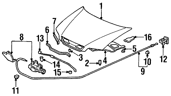 16HOOD & GRILLE. HOOD & COMPONENTS.https://images.simplepart.com/images/parts/motor/fullsize/4426090.png