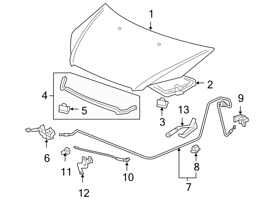 HOOD & COMPONENTS.