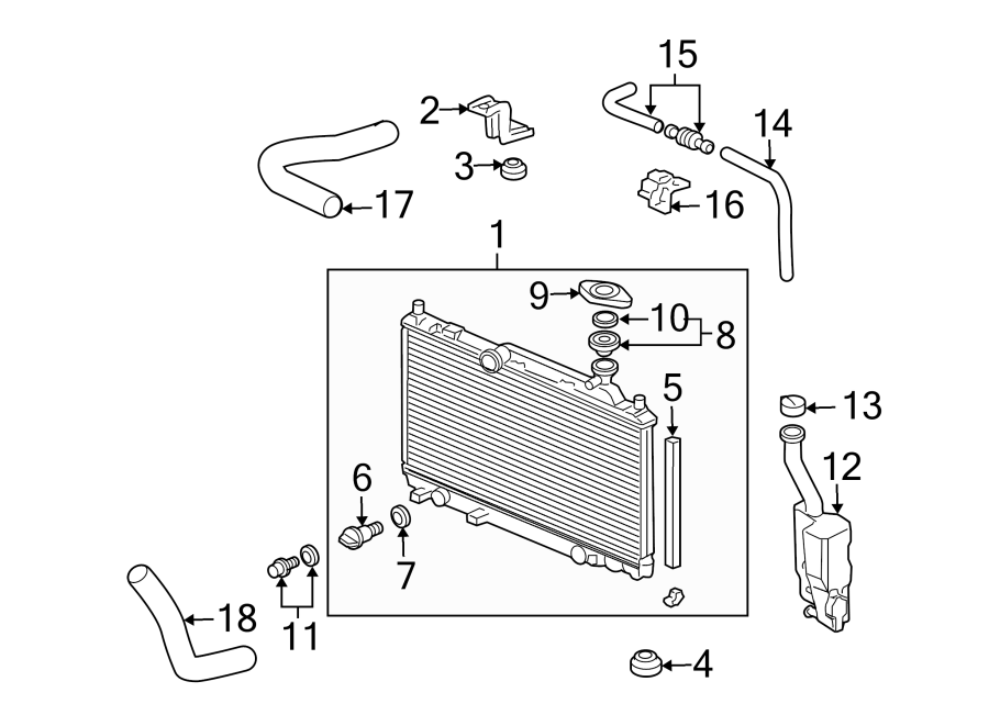 RADIATOR & COMPONENTS.