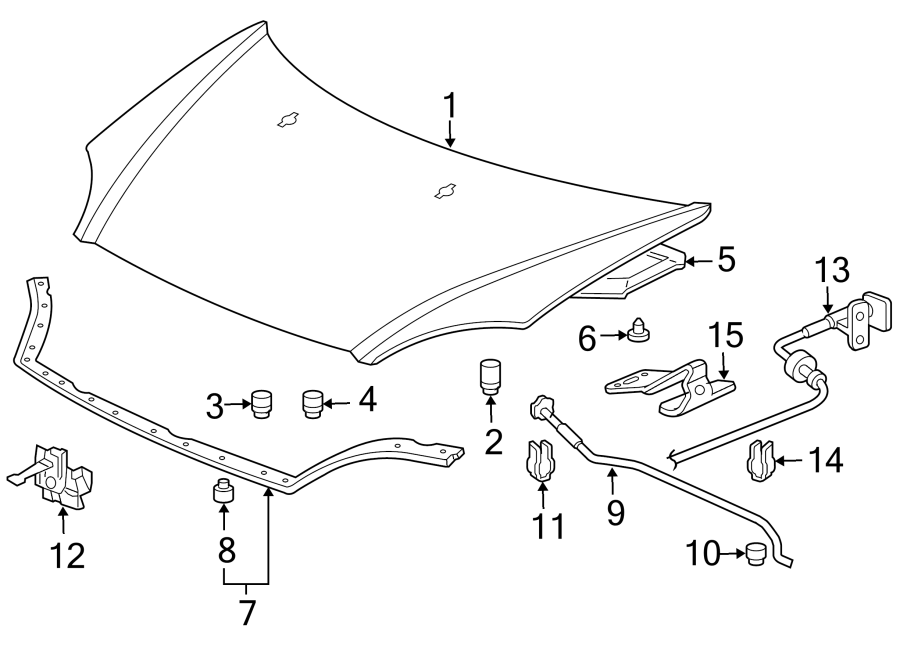 HOOD & COMPONENTS.