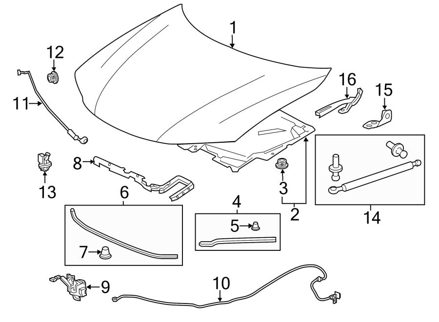 HOOD & COMPONENTS.