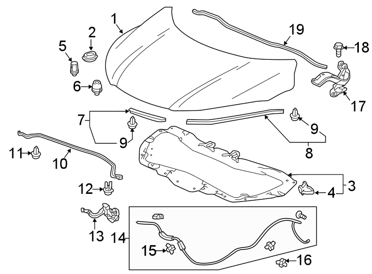 2HOOD & COMPONENTS.https://images.simplepart.com/images/parts/motor/fullsize/4451075.png