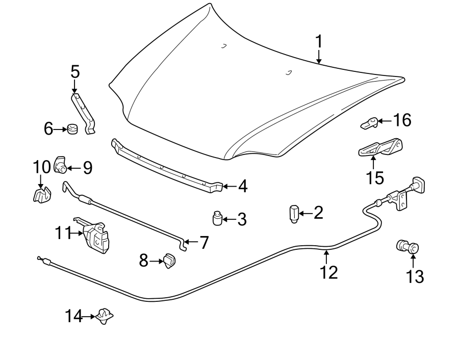 HOOD & COMPONENTS.