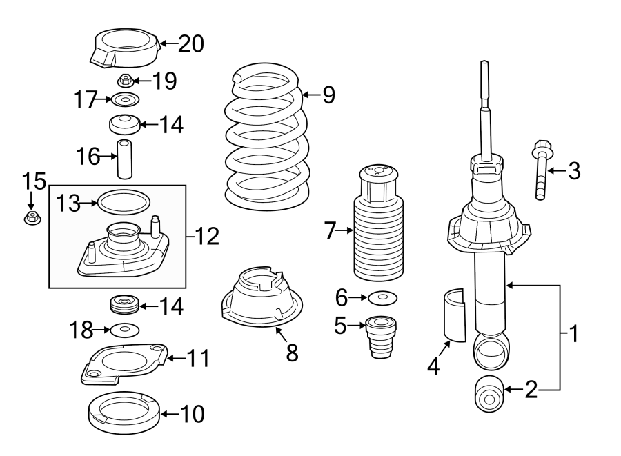 REAR SUSPENSION. STRUTS & COMPONENTS.