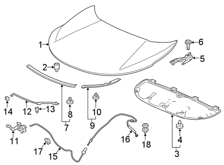 HOOD & COMPONENTS.