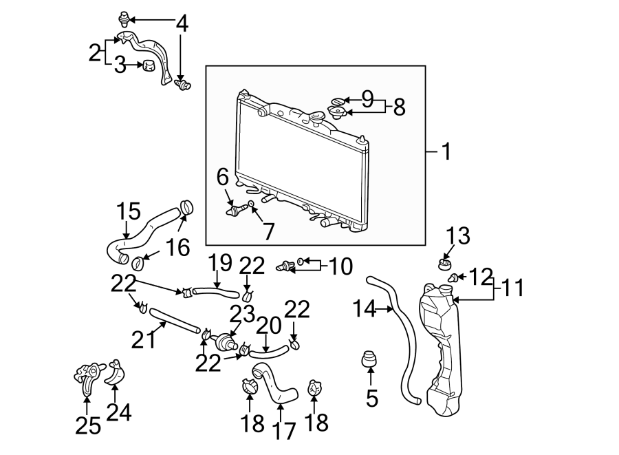 RADIATOR & COMPONENTS.