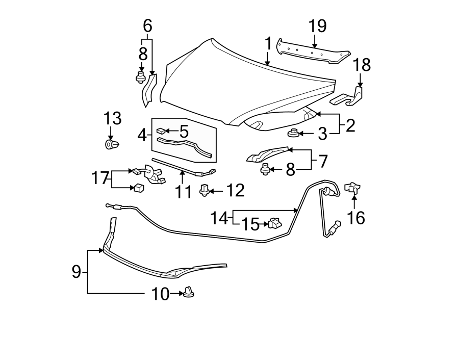 HOOD & COMPONENTS.