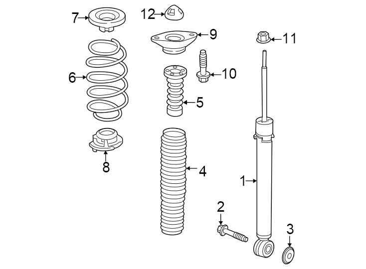 Rear suspension. Shocks & components.