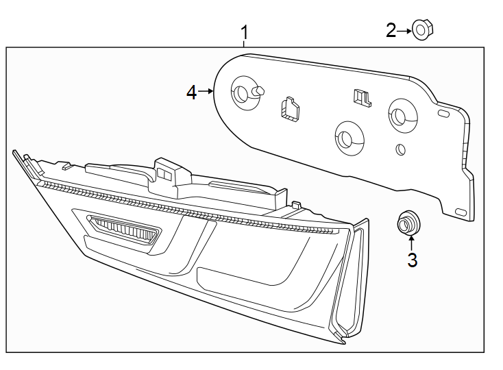 Rear lamps. Backup lamps.