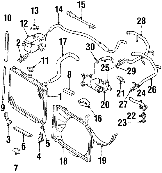 RADIATOR & COMPONENTS.