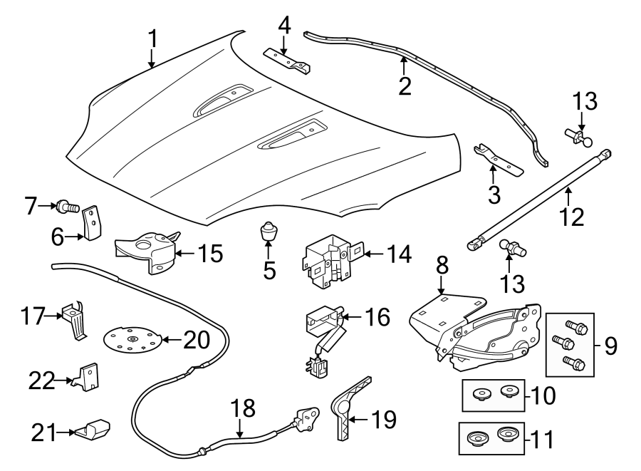 Diagram HOOD & COMPONENTS. for your 2013 Jaguar XK  Base Convertible 