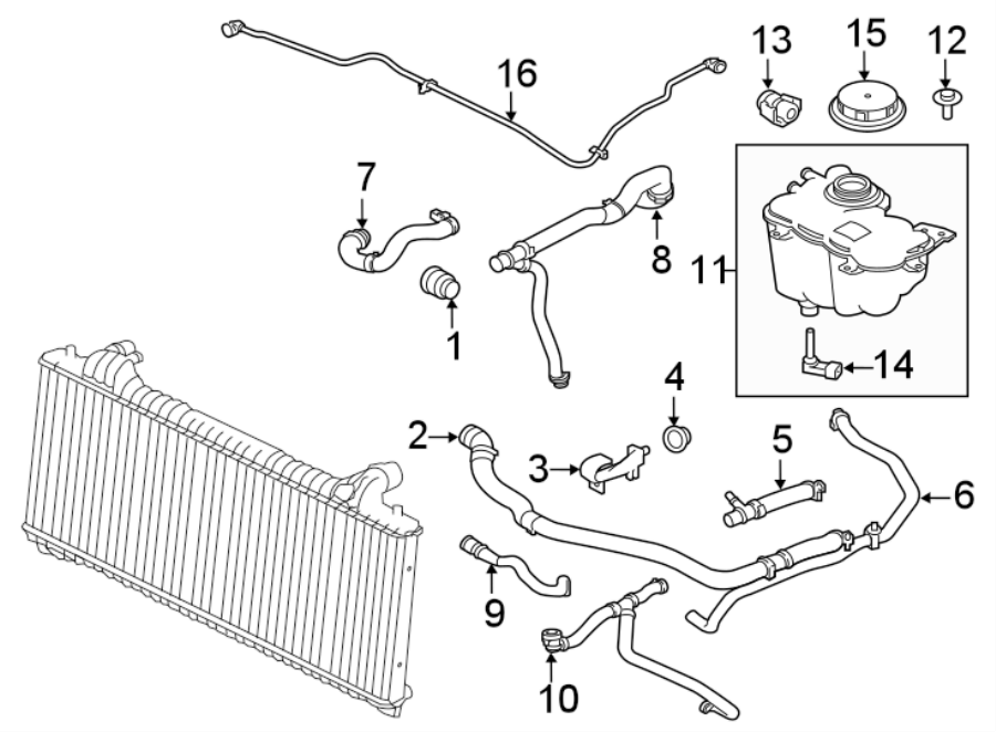 Diagram HOSES & LINES. for your Jaguar