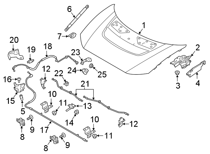 Diagram HOOD & COMPONENTS. for your 2013 Jaguar XK  Base Convertible 