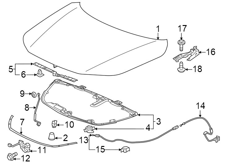 11Hood & components.https://images.simplepart.com/images/parts/motor/fullsize/4813085.png