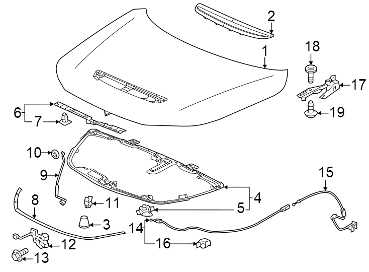 12Hood & components.https://images.simplepart.com/images/parts/motor/fullsize/4813086.png