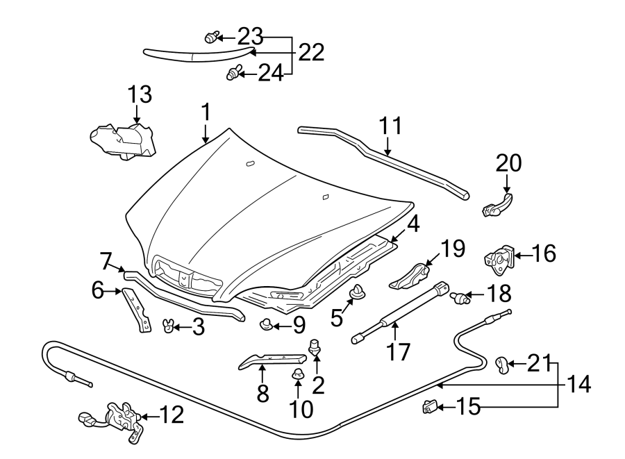 19HOOD & GRILLE. HOOD & COMPONENTS.https://images.simplepart.com/images/parts/motor/fullsize/4816070.png