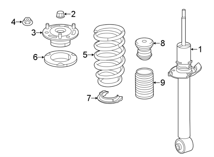 8REAR SUSPENSION. SHOCKS & COMPONENTS.https://images.simplepart.com/images/parts/motor/fullsize/4845527.png