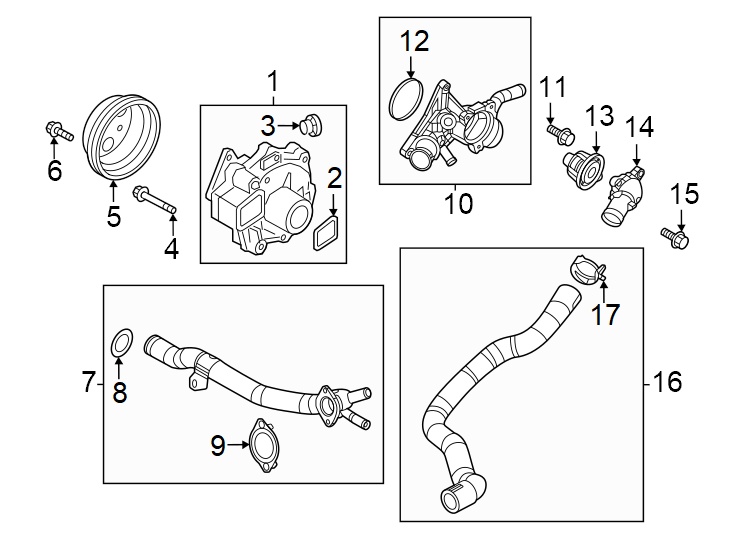 Diagram Water pump. for your Mazda